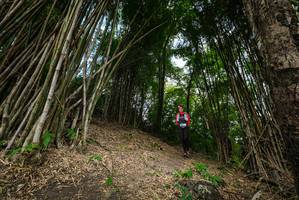 BIB: 
                            <button type="button" onclick="openModal(19395881)" class="btn btn-primary btn-sm float-right btn-popup" data-toggle="modal" data-target=".modal-high-quality">
                        <i class="fas fa-shopping-cart"></i> Add to Cart
                    </button>
                                            <button type="button" onclick="isThisMe(19395881, true)" class="btn btn-success btn-sm float-right btn-popup btn-isme hidden" data-toggle="tooltip" data-placement="bottom" title="นี่คือรูปของคุณใช่ไหม คลิกที่นี่เพื่อเอาเข้าอัลบั้ม">
                        <i class="fas fa-plus"></i> Add to album
                    </button>
                    <button type="button" onclick="isThisMe(19395881, false)" class="btn btn-warning btn-sm float-right btn-popup btn-isnotme hidden">
                        <i class="fas fa-ban"></i> Remove from album
                    </button>